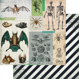 Fancy Pants Hallow's Eve Creepy & Crawly Patterned Paper